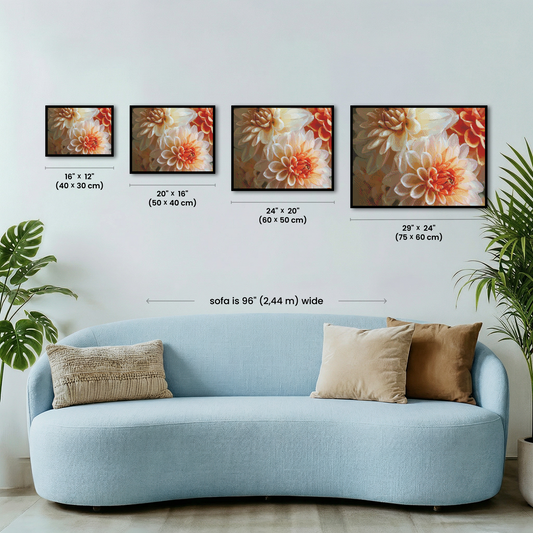 Golden Dahlias