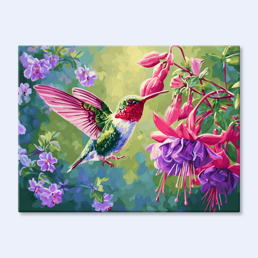 Fuchsia Visitor