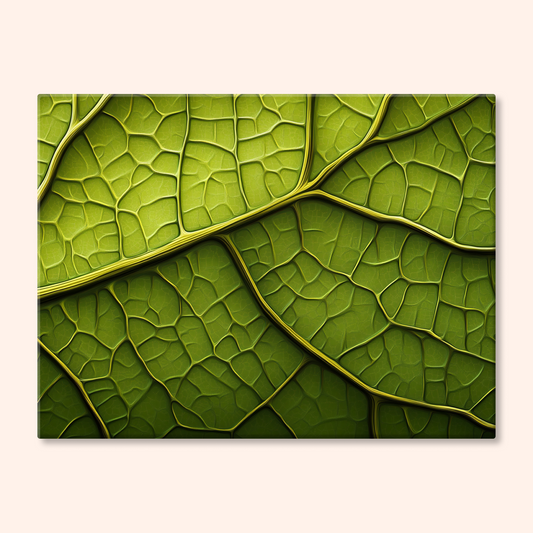 Greens Geometry