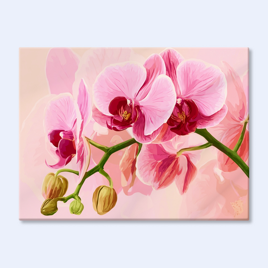 Orchid Blush