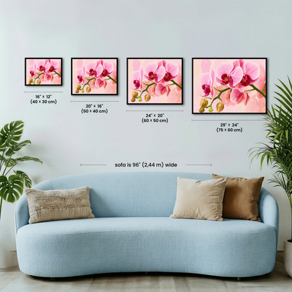 Orchid Blush