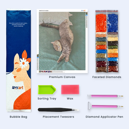 Paint Your Cat