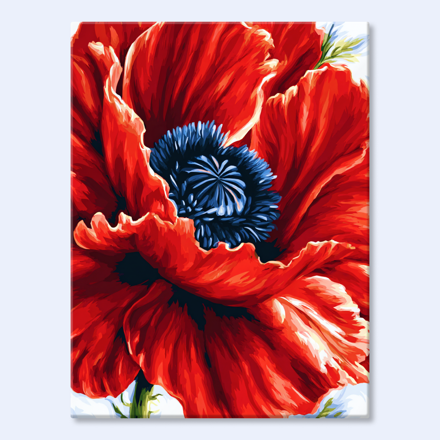 Scarlet Poppy