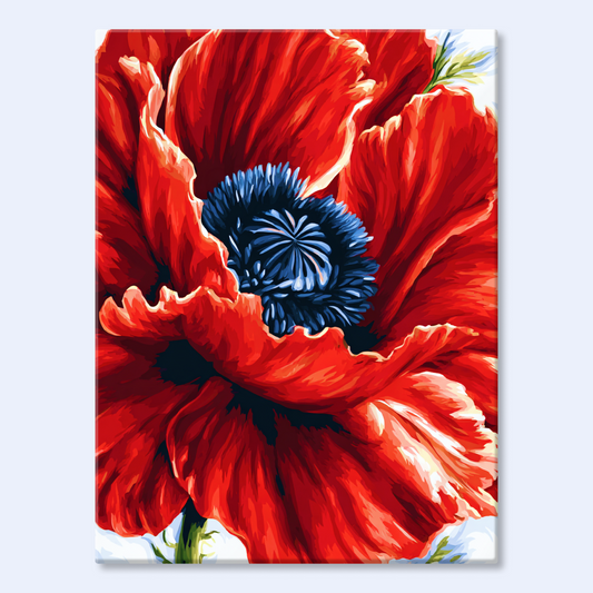 Scarlet Poppy