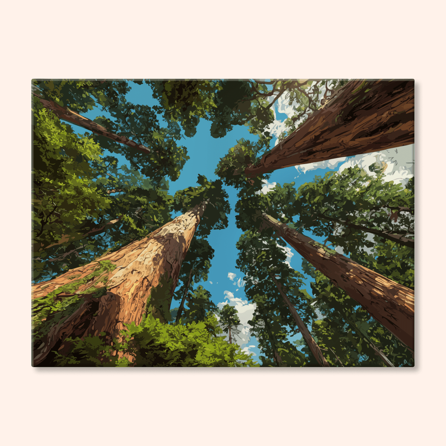 Sequoia Sky