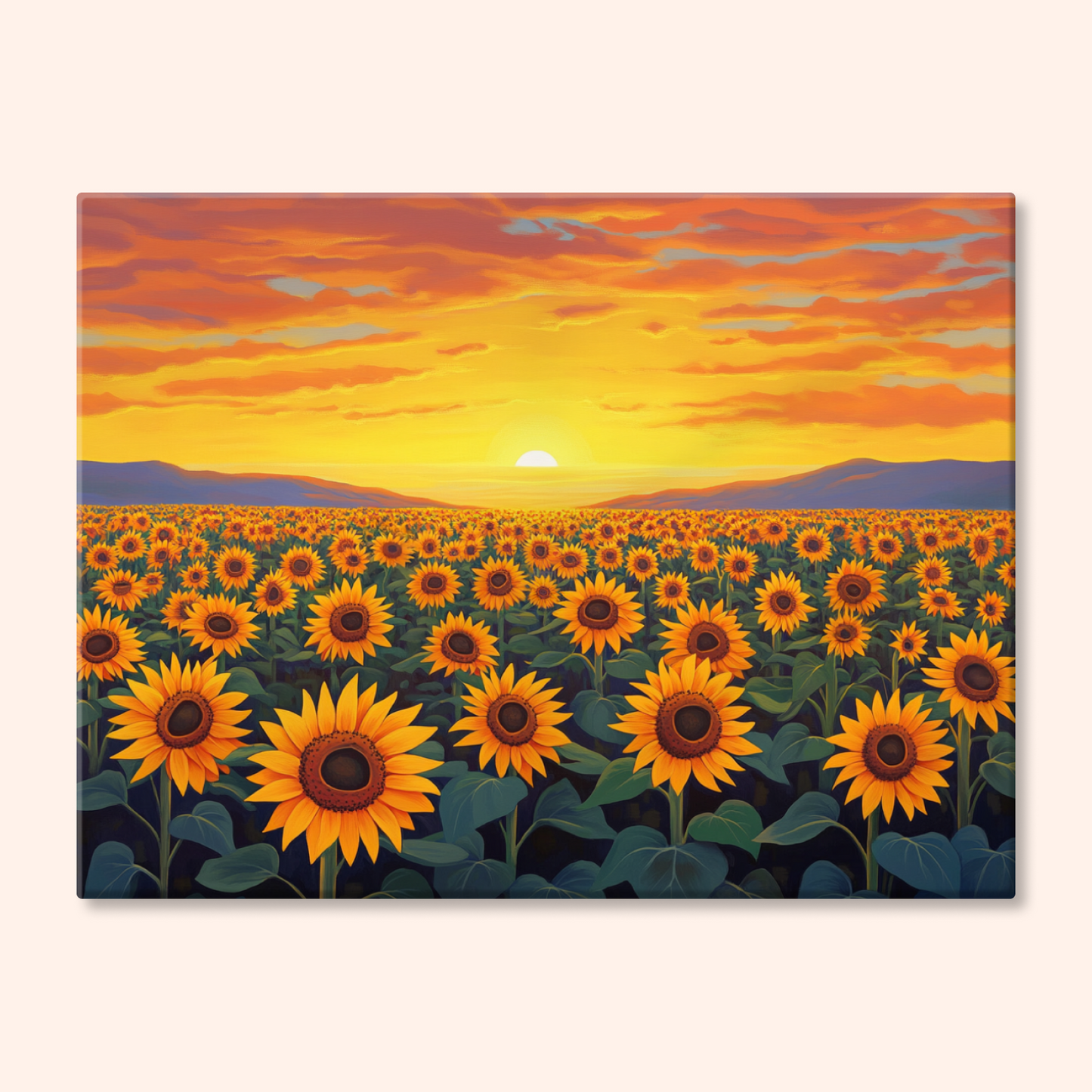 Sunbeam Field