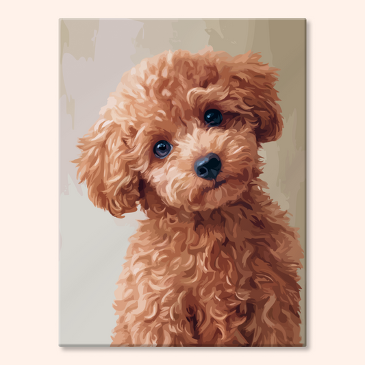 Sweet Poodle