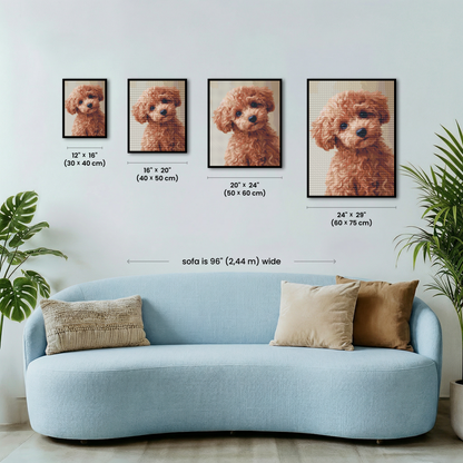 Sweet Poodle