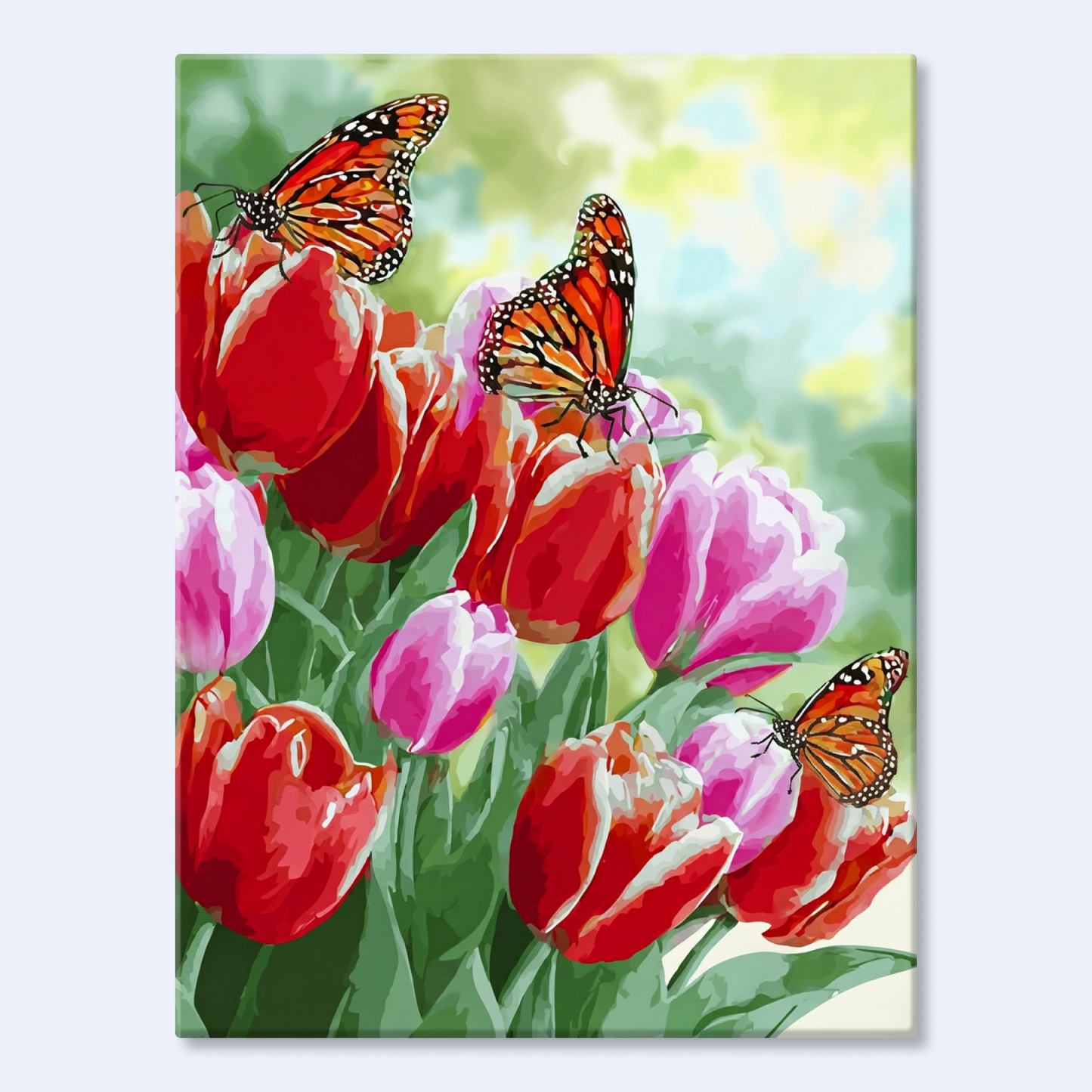Tulip Dance