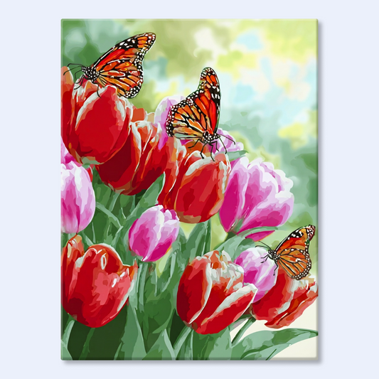 Tulip Dance